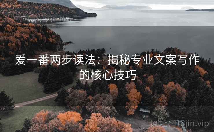 爱一番两步读法：揭秘专业文案写作的核心技巧