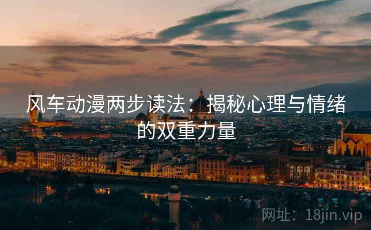 风车动漫两步读法:揭秘心理与情绪的双重力量 风车动漫两步读法:揭秘心理与情绪的双重力量