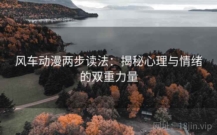 风车动漫两步读法:揭秘心理与情绪的双重力量 风车动漫两步读法:揭秘心理与情绪的双重力量